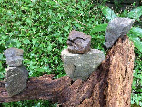 51588387_287864958559016_7793434405900386304_n